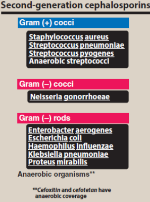 <p>(Cefuroxime, cefotetan, cefoxitin)</p><p>Cefotetan and cefoxitin are the only cephalosporins against gram-negative anaerobic bacteria</p>
