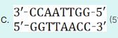 <p>palindromic sequence</p><p></p>