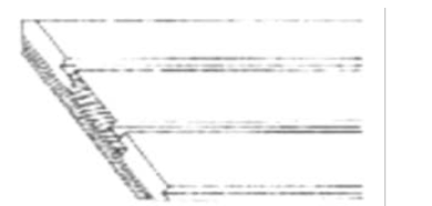 <p>Scalloped wood sheathing with the<strong> convex forms visible.</strong></p>