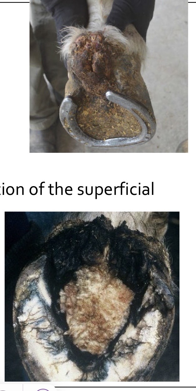 <p>what are these showing?</p>