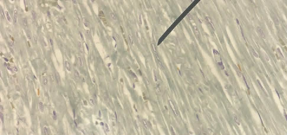 <p>Cấu trúc gì ?</p>