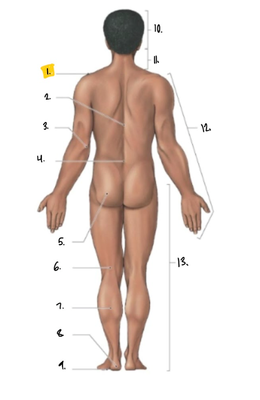 <p>9.</p>