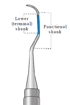 <p></p><p><strong>Short functional shank </strong></p><p>Used on…</p><ul><li><p>Tooth crowns</p></li><li><p>Supragingival area (above gumline) </p><ul><li><p>Ex: Removing supragingival calculus</p></li></ul></li></ul><p></p><p><strong>Long functional shanks </strong></p><p>Used on…</p><ul><li><p>Tooth crowns</p></li><li><p>Roots</p></li><li><p>Subgingival (below the gumline) </p><ul><li><p>Ex: Detecting calculus below gingival margin </p></li></ul></li></ul><p></p>