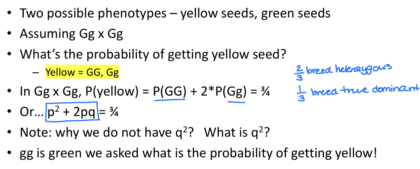 <ul><li><p>The probability that a binomial experiment results in EXACTLY X successes</p><ul><li><p>predicting the likelihood of a series of events</p></li></ul></li></ul><ul><li><p>Two variables, each representing the frequency of one of two alternative outcomes</p></li><li><p>P<sub>(outcome 1)</sub> = p ; P<sub>(outcome 2)</sub> = q</p></li><li><p>If p and q are the only possible outcomes → p+q = 1</p></li><li><p>In examining probable outcomes (i.e. coin flips), we expand the expression by n events → (p+q)<sup>n</sup> = 1</p></li></ul><p></p>