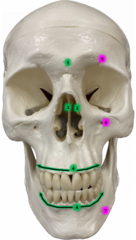 <p>[2]</p>