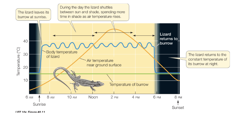 <p>understand this picture</p>