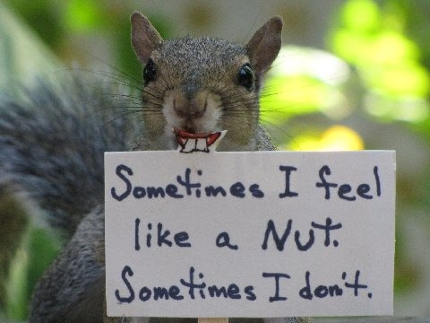 <p>sometimes, in some occasions</p>