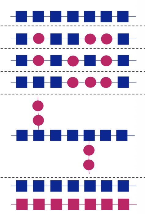 <p>Name these different polymers structures</p>