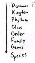 <p>See picture</p>