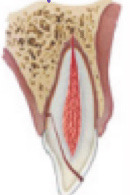 <p>What is this?</p>
