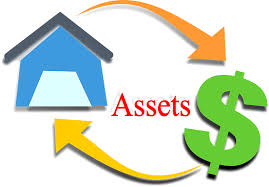 Asset