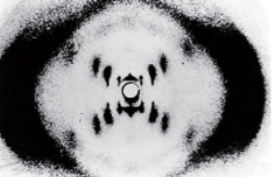 <p>What does X-ray diffraction do?</p>