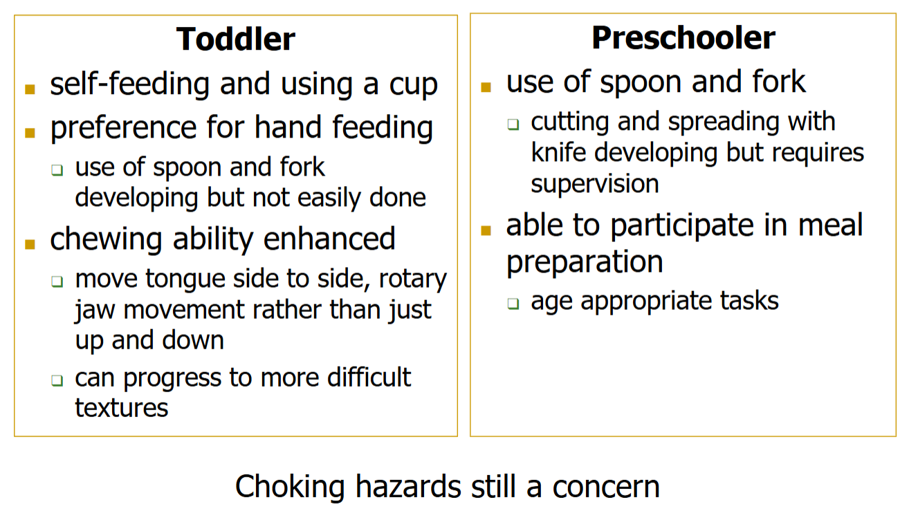 <p>Toddler:</p><ul><li><p>Self feeding + using a cup</p></li><li><p>Preference for hand feeding</p></li><li><p>Chewing ability enhanced</p></li></ul><p></p><p>Preschooler </p><ul><li><p><strong><em><u>spoon + fork use</u></em></strong></p></li><li><p><strong><em><u>able to participate in meal preparation</u></em></strong></p></li></ul><p></p>