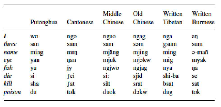 <p>because of a sufficient number of cognates</p><p>historical texts with reconstructed pronounciations we can compare to find these cognates</p>