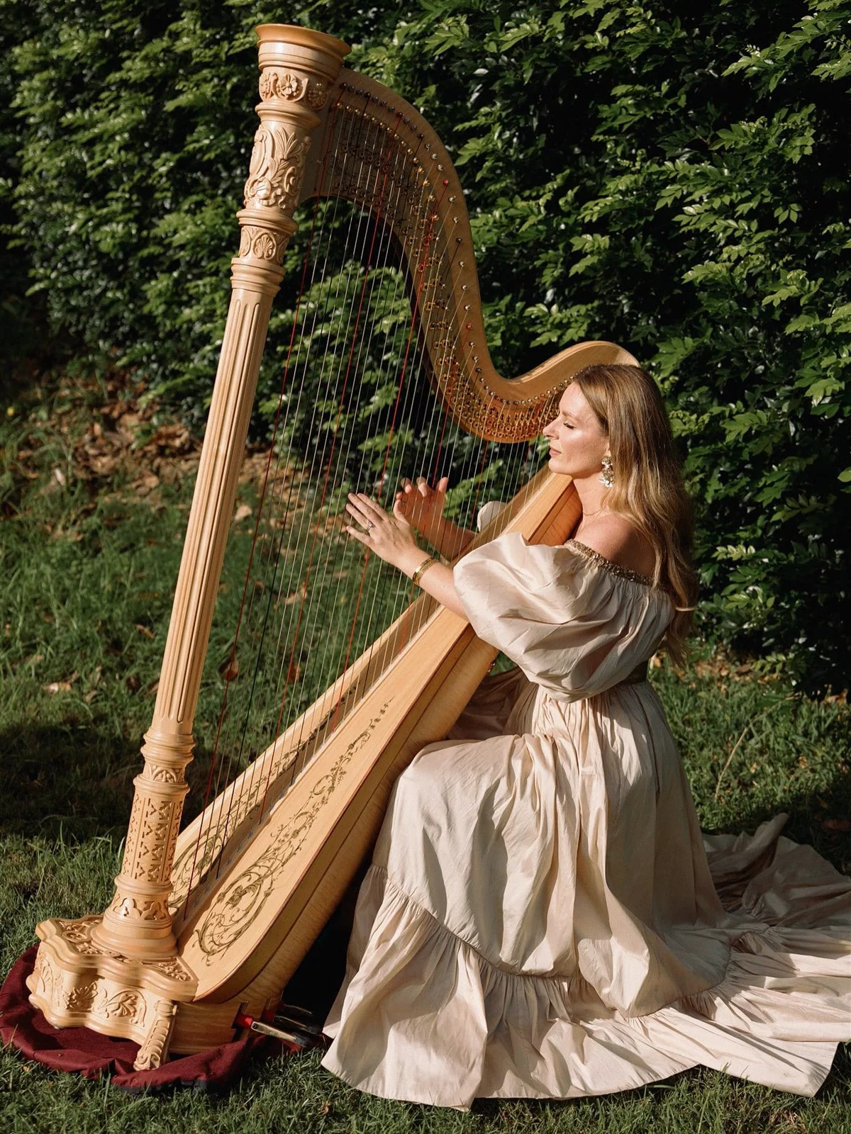<p>harp</p>