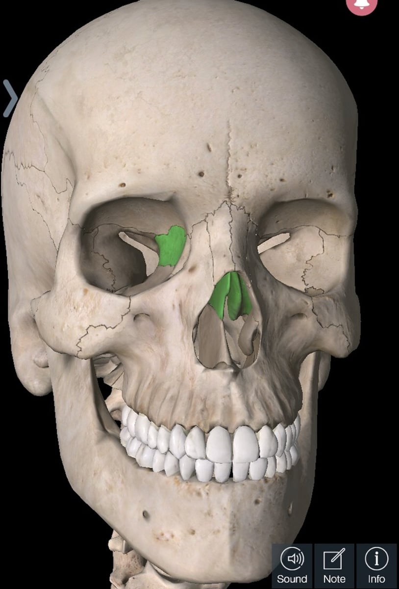 knowt flashcard image