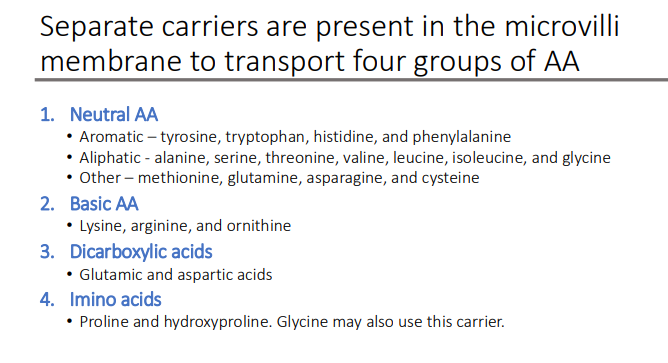 <p>Proline and hydroxyproline. Glycine may also use this carrier</p>