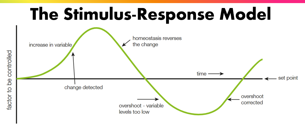 <p>Describe what is happening</p>
