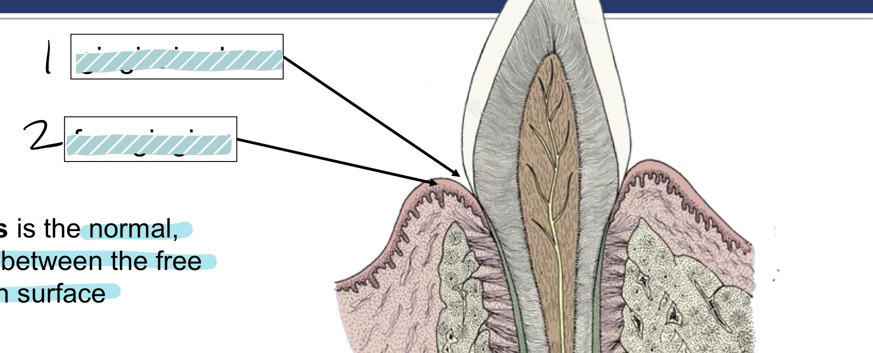 <p>what is 1?</p>