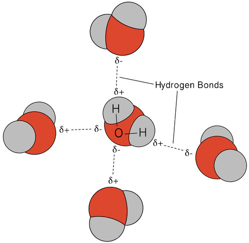 <ul><li><p>special kinds of noncovalent bond</p></li><li><p>occurs due to an unequal pull of electrons between H and an electronegative atom (F, N, O)</p></li><li><p>strongest among intermolecular forces</p></li></ul><p></p>