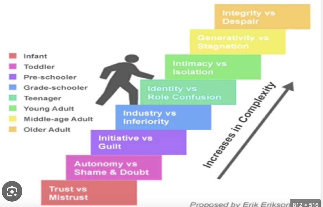 <p>known for psychosocial theory of development<br>whats the emphasis on?<br>the importance of social relationships at each stage of personality development</p><p>stage of personality development<br>= Each represents a conflict or developmental task.</p>