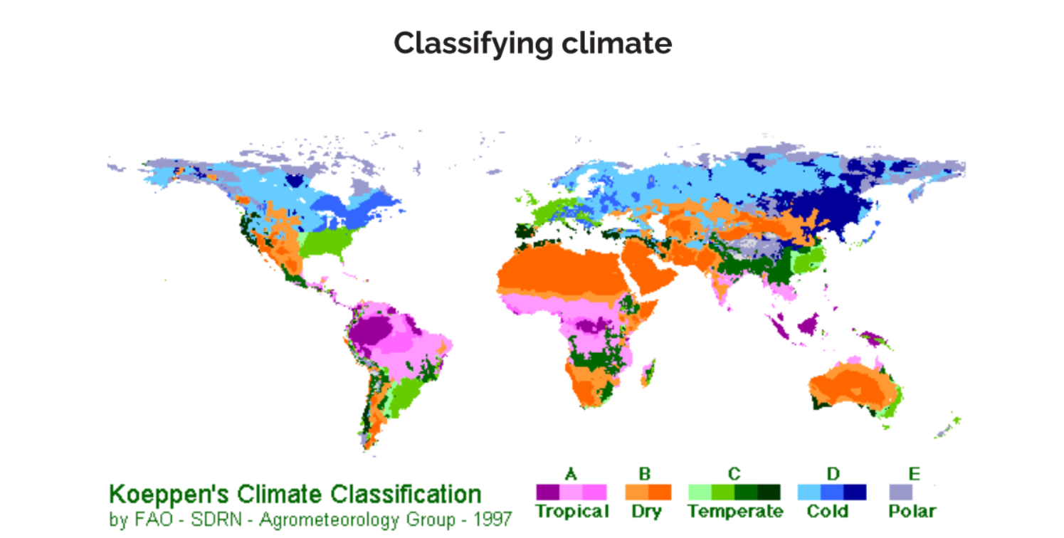 <ul><li><p>Divides the climate into 5 main groups: Tropical, dry, temperate, cold and polar </p></li><li><p>Then subdivides them into divisions for each group </p></li></ul><p></p>