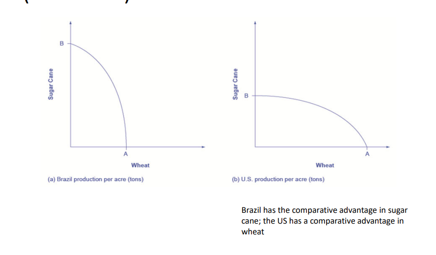 <p>Often how much of a good a country decides to produce depends on how expensive it is to produce it versus buying it from a different country. </p>