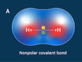 <p>bonded atoms are the <strong>same </strong>or have <strong>similar </strong>electronegativities </p>