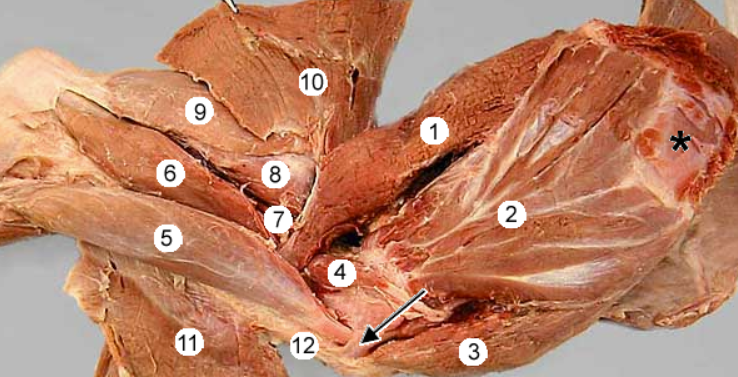 <p>1?</p>