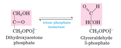 <p>ISOMERIZATION: DHAP <span data-name="left_right_arrow" data-type="emoji">↔</span> GAP. Isomerization, catalyzed by<strong> triose phosphate isomerase. </strong>Low cellular concentration of GAP pulls this rxn forward in vivo. </p>