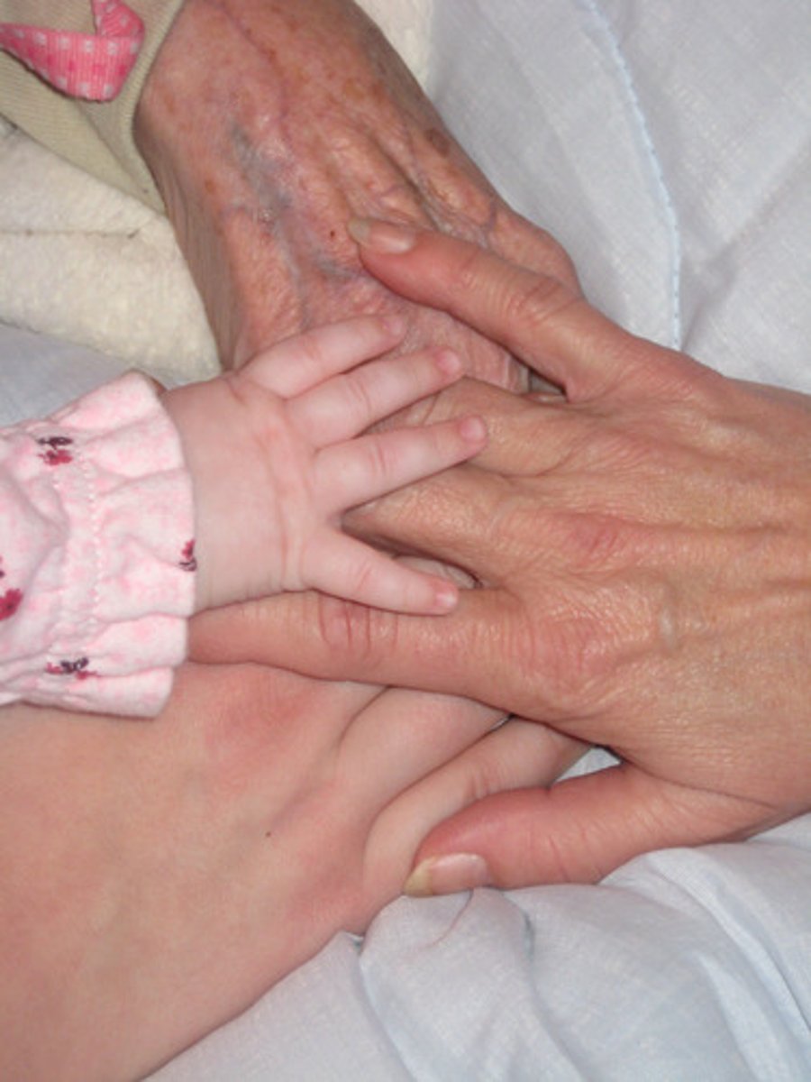 <p>(n) thế hệ</p>