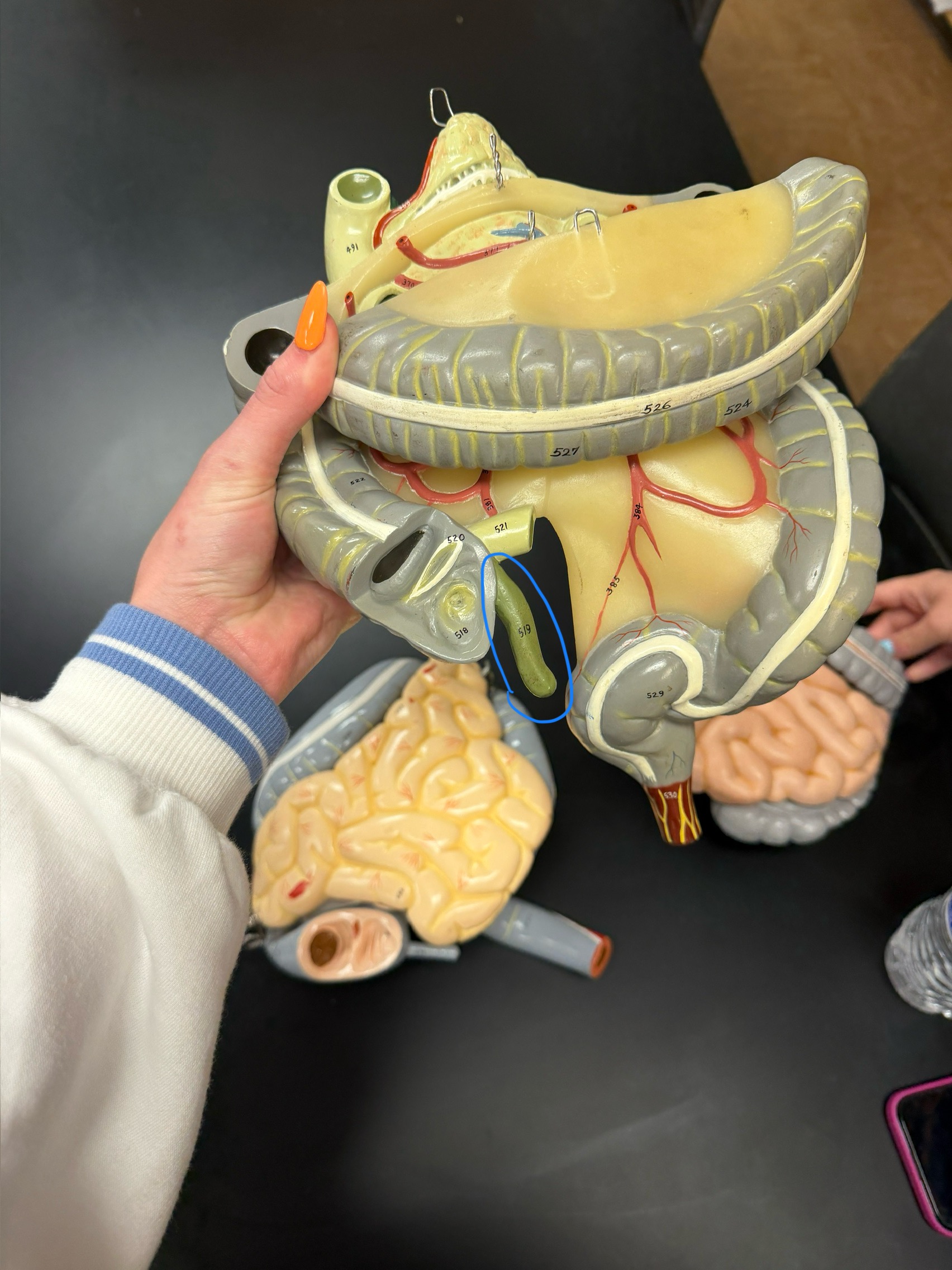 <p>name this structure</p>