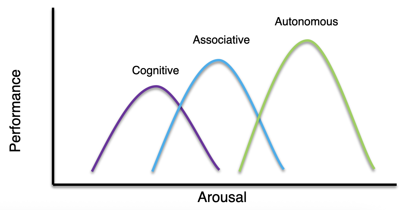 <ul><li><p>Beginners find it more difficult to cope with arousal because it is less habitual</p></li><li><p>Beginner (cognitive) need to give more attention to he skills itself + arousal levels may take away that concentration </p></li><li><p>Rely heavily on environmental cues </p></li></ul><p></p>