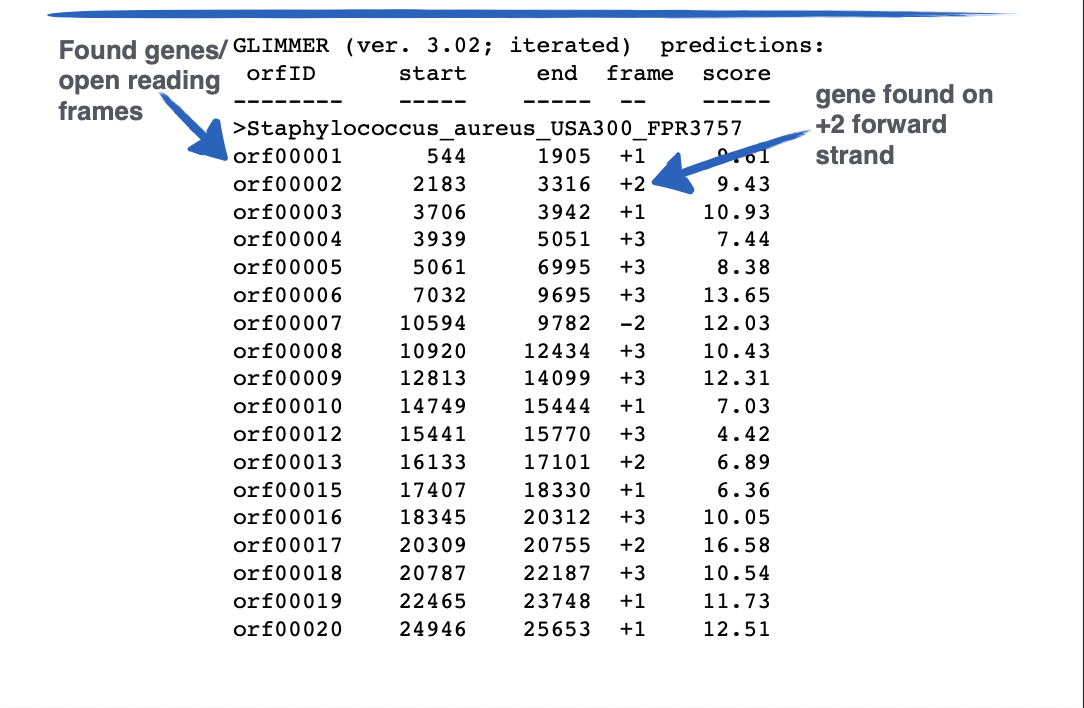 <p>This output is from ___</p>