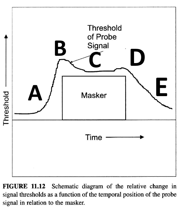 <p>Forward Masking</p>