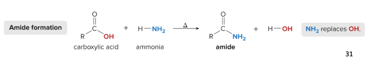 <p>amide formation reaction</p>