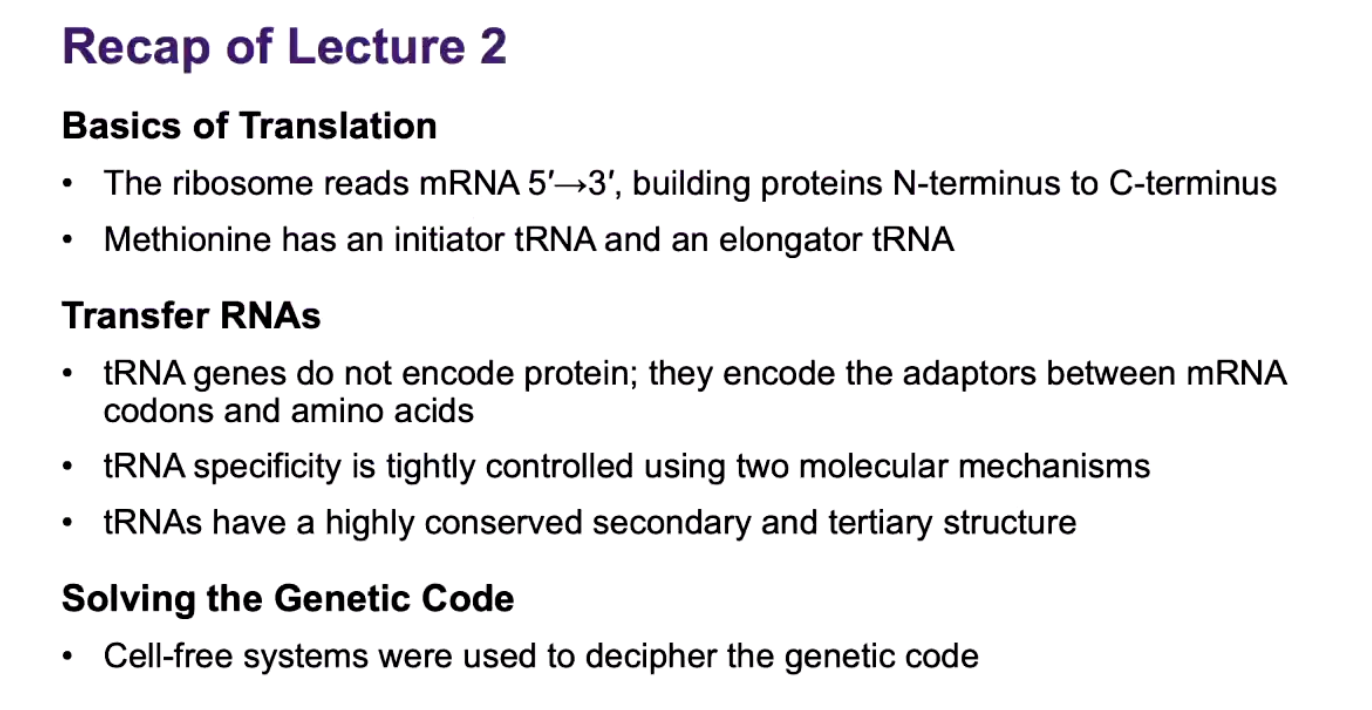 <p><strong>nitiator tRNA = "I'm bringing Met to START the protein."</strong></p><p><strong>Elongator tRNA = "I'm bringing Met to ADD to an already-growing protein."</strong></p>