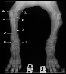 <p>What is H?</p>