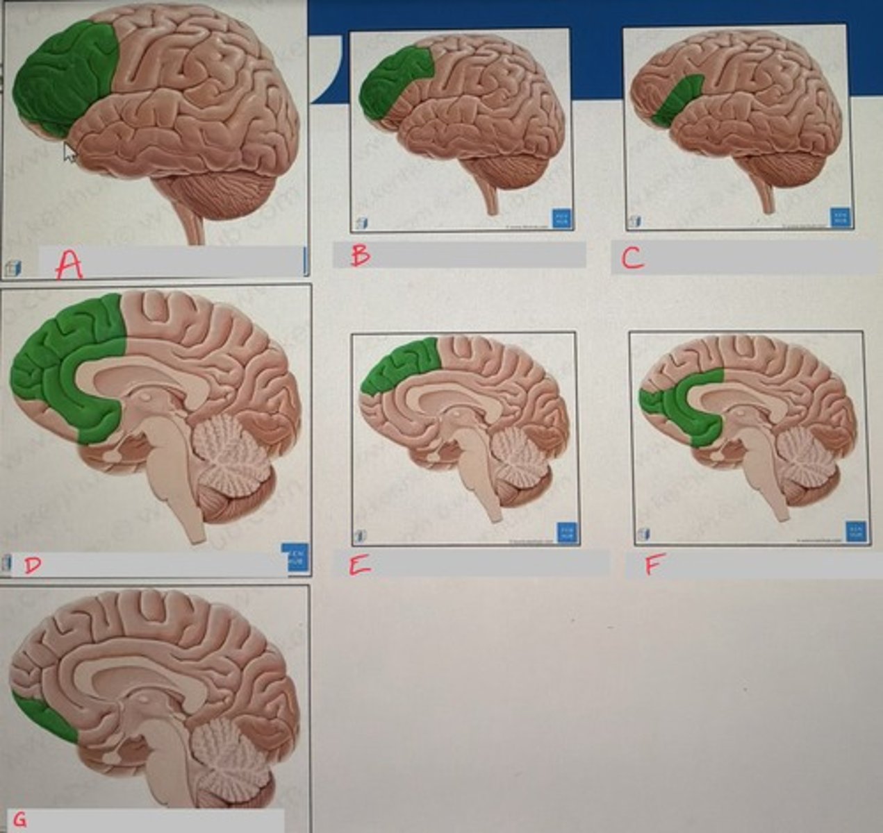 <p>What is C?</p>