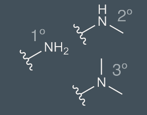 <p>Functional group containing nitrogen atoms; primary, secondary, teritiary; basic, and polar forming hydrogen bonds </p>