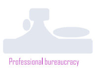 <ul><li><p>combine standardization with decentralization (to deal with complex situations)</p></li><li><p>coordination through standardization of skills</p></li><li><p>expert authority vs. hierarchical authority</p></li><li><p>managers perform secondary tasks in support of the main tasks performed by experts</p></li><li><p>operational core is big and has a lot of power</p></li><li><p>complex but stable environment</p></li><li><p>democracy and autonomy</p></li><li><p>misuse of the freedom, coordination problems, resistance to innovate</p></li><li><p>e.g. hospital, university</p></li></ul><p></p>