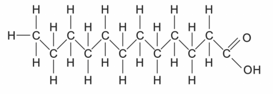 <p>long unbranched hydrocarbon chain with carboxyl group at one end </p>