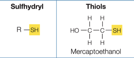 <p>Sulfhydryl</p>