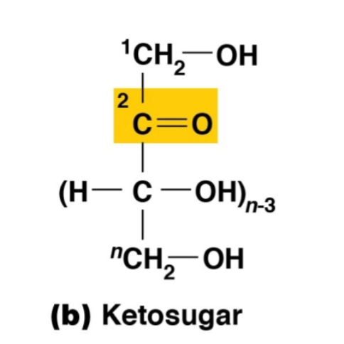 <p>ketosugar with an internal carbonyl group</p>