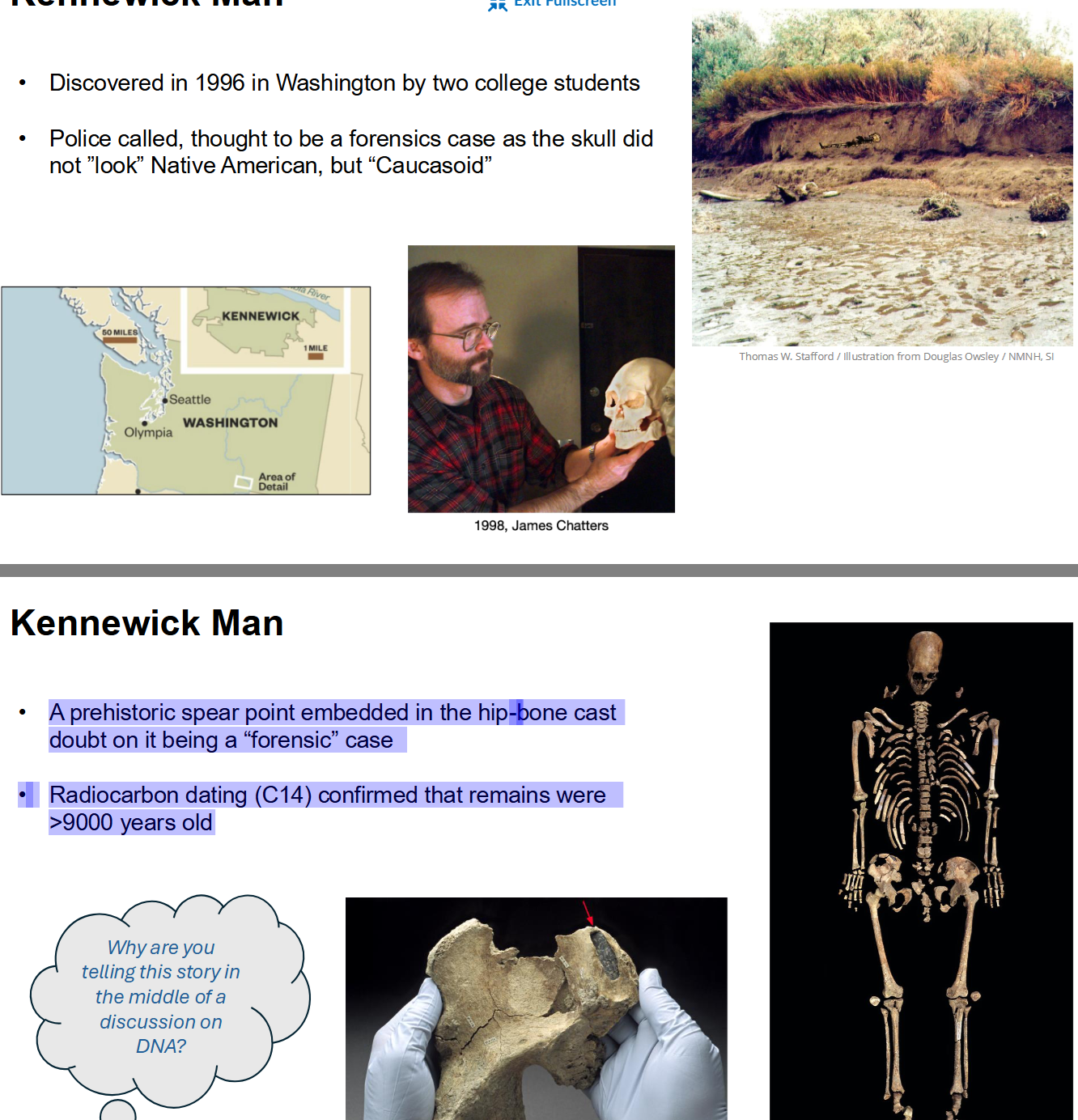 <p>Kennewick Man</p>