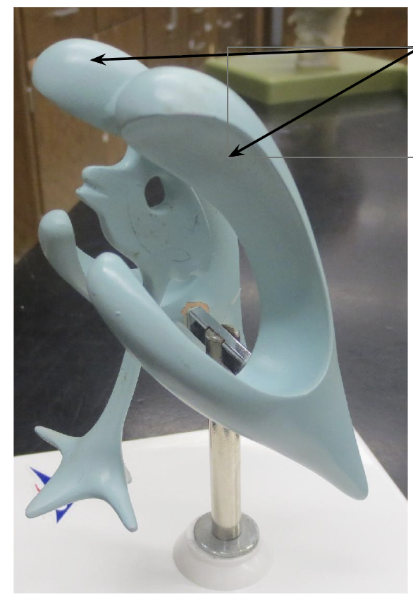 <p>What is this?</p>
