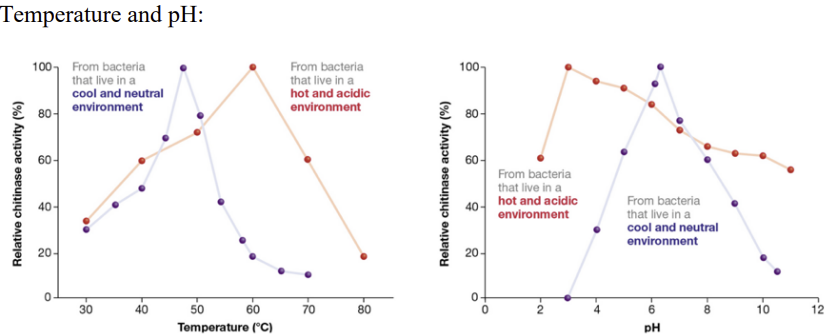 <p>if outside the peak range, pH can disrupt an enzyme’s ability maintain its shape of the active site —> hinders a substrate’s ability to bind</p>