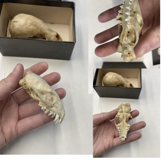 <p>What is this?</p>