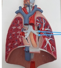 <p>name the part</p>