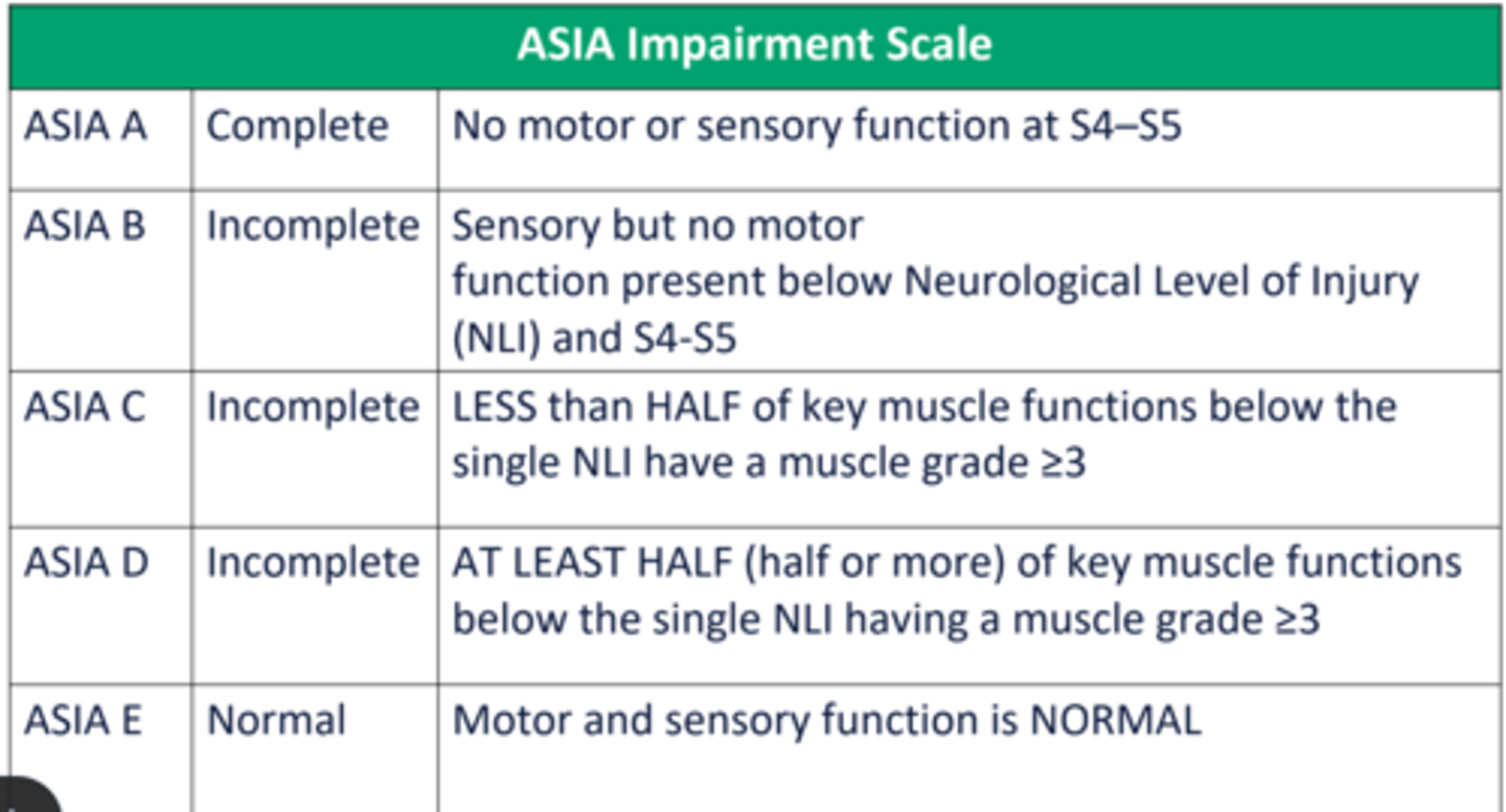 <p>• At or above T6</p><p>• Noxious stimuli below level of lesion</p><p>• Rise in systolic blood pressure of 20 to 30 mmHg is diagnostic of an episode of autonomic dysreflexia</p><p>• More common in chronic stage (3-6 months after injury); can be seen in acute too</p><p>• More common with complete SCI</p>